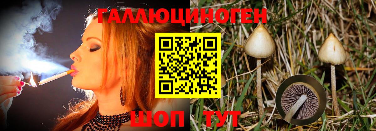 Галлюциногенные грибы MAGIC MUSHROOMS Павловский Посад