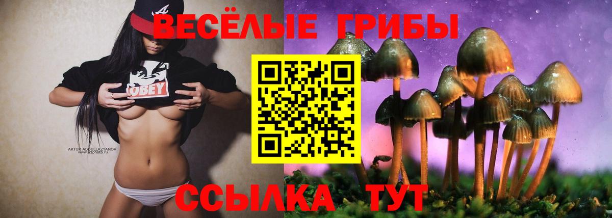 Павловский Посад  Галлюциногенные грибы Psilocybine cubensis  Вход с VPN 